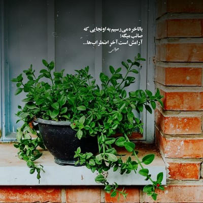 علیرضا اسفندیاری ماه ملک منظر باخ اکبر باخ